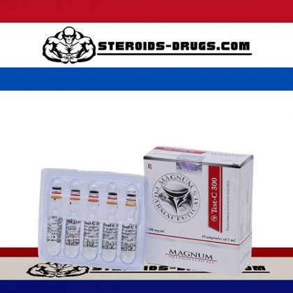 MAGNUM TEST-C 300