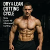 Droge & Lean Cutting Cyclus